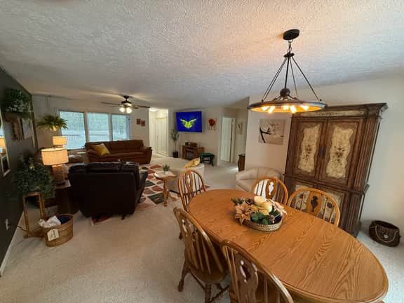 The Hive, a spacious secluded, pet-friendly retreat!